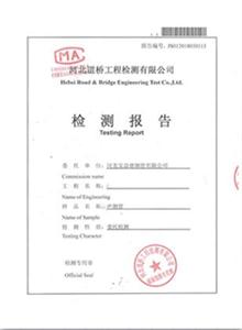 合肥公司检测报告